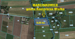 Łąka 0,55 ha, Marcinkowice, Kazimierza W.