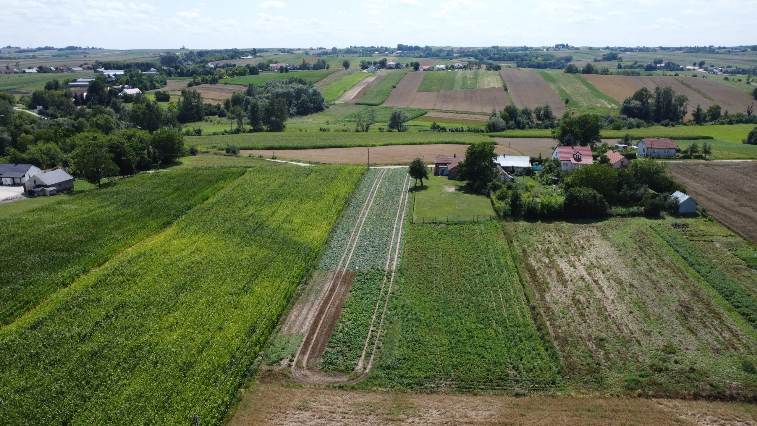 NOWA NIŻSZA CENA Dom 120 m2, Szarbia Zwierzyniecka, gmina Skalbmierz, świętokrzyskie
