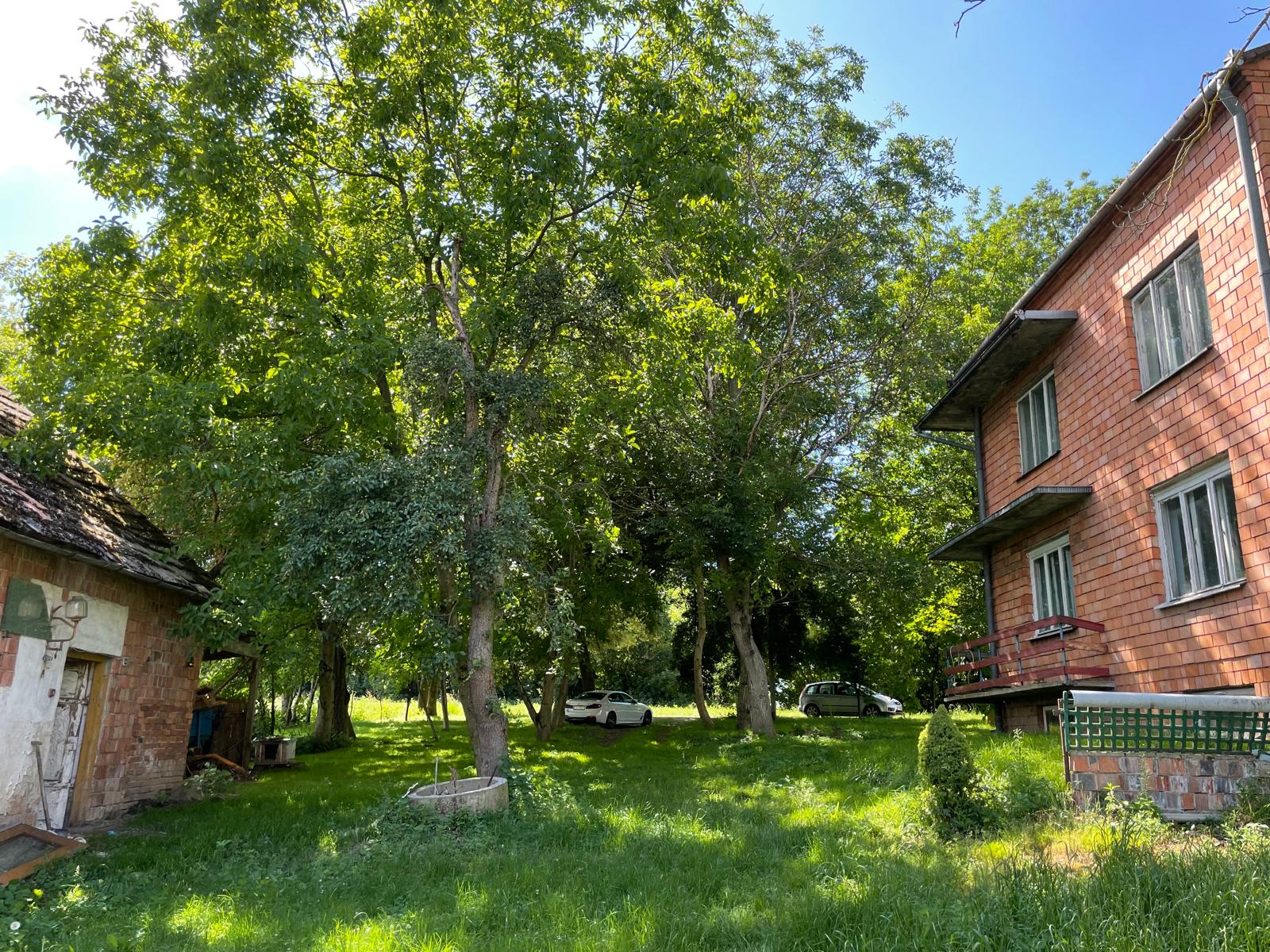 Dom do remontu, Sokolina, gmina Czarnocin, świętokrzyskie