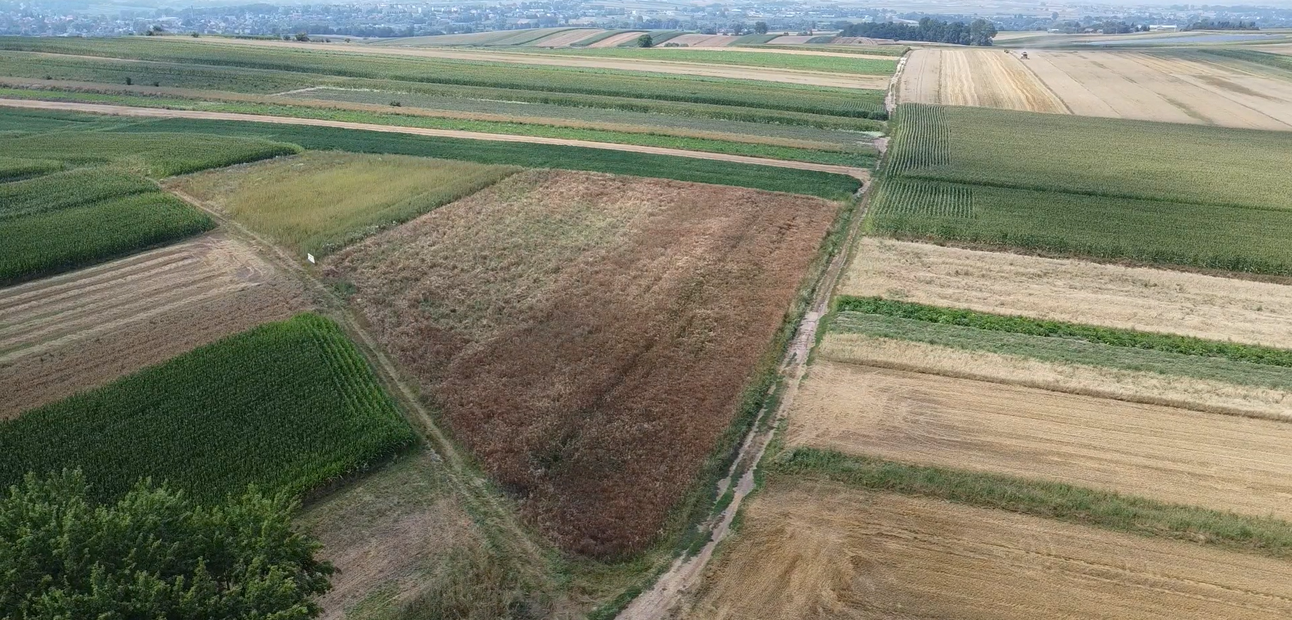 Działki z warunkami zabudowy 0,13 ha – 0,22 ha, Gabułtów, gmina Kazimierza Wielka, świętokrzyskie