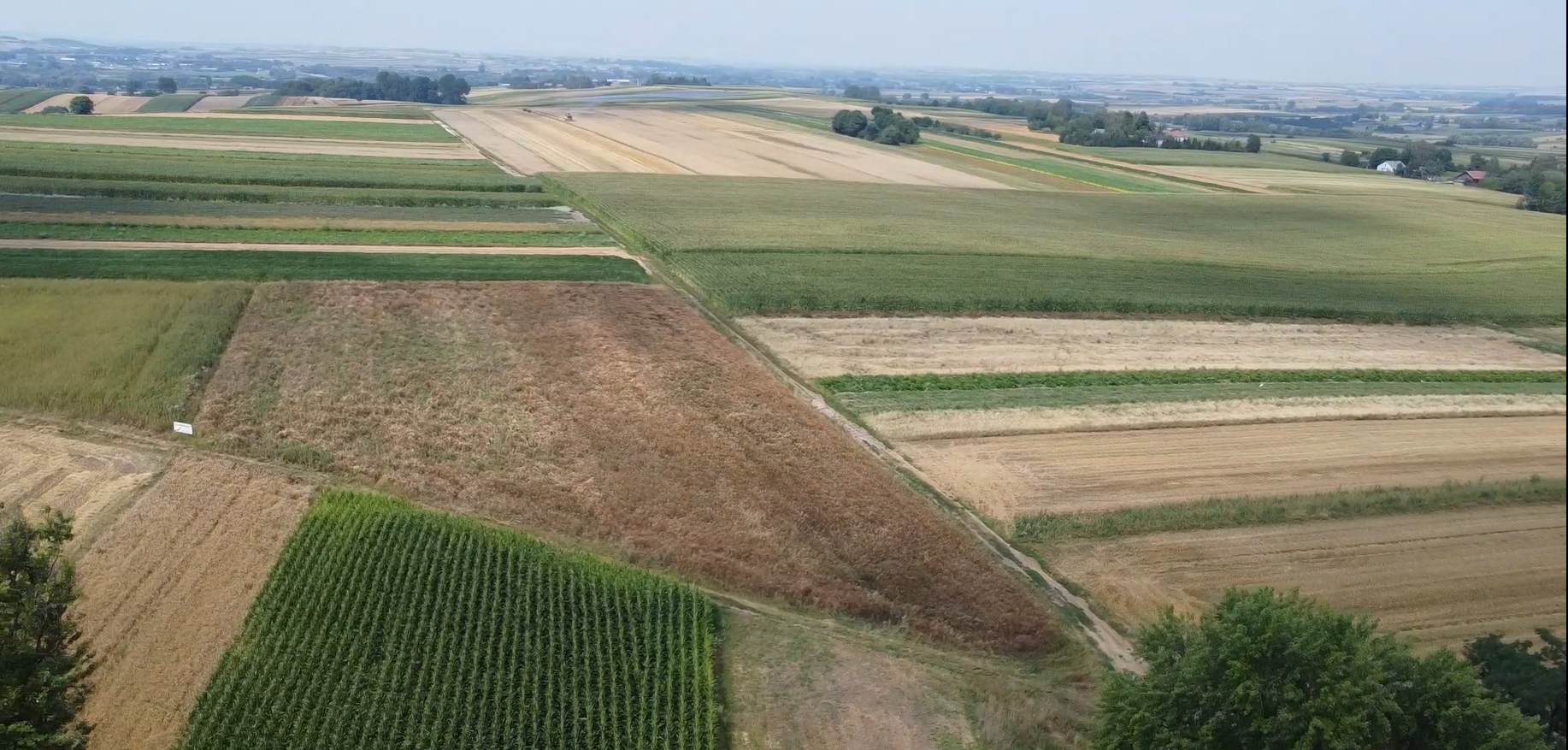 Działki z warunkami zabudowy 0,13 ha – 0,22 ha, Gabułtów, gmina Kazimierza Wielka, świętokrzyskie