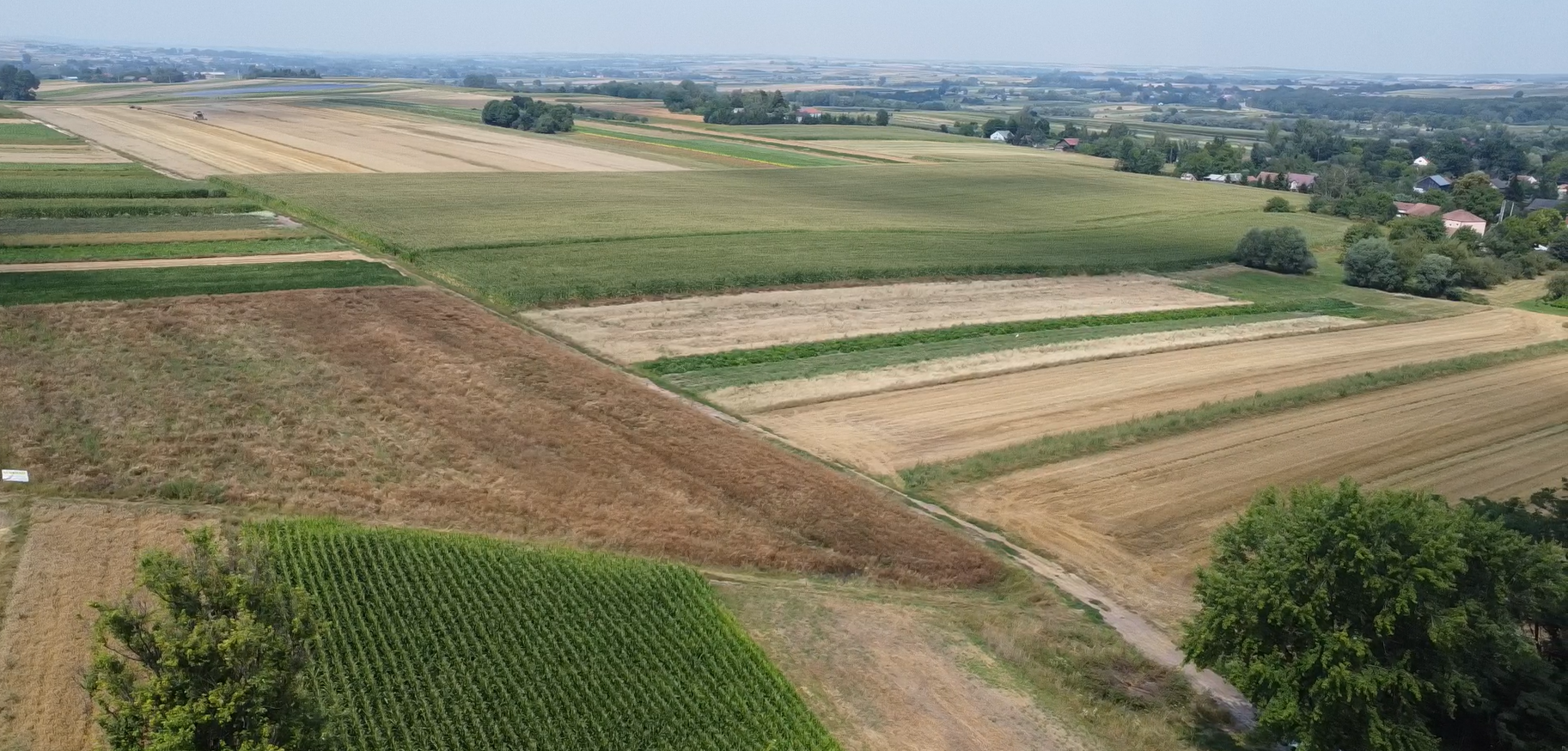 Działki z warunkami zabudowy 0,13 ha – 0,22 ha, Gabułtów, gmina Kazimierza Wielka, świętokrzyskie