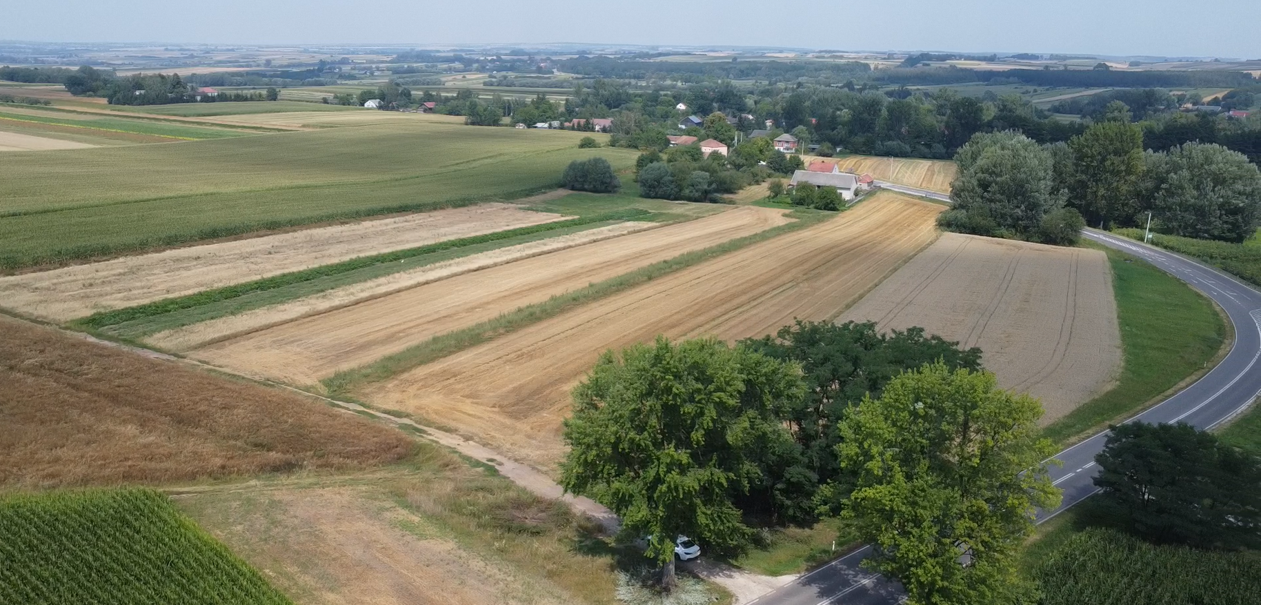 Działki z warunkami zabudowy 0,13 ha – 0,22 ha, Gabułtów, gmina Kazimierza Wielka, świętokrzyskie