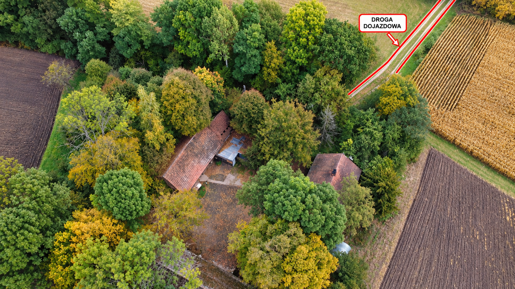Dom, zabudowania gospodarcze, działka 1,67 ha, Sieradzice, powiat kazimierski, świętokrzyskie