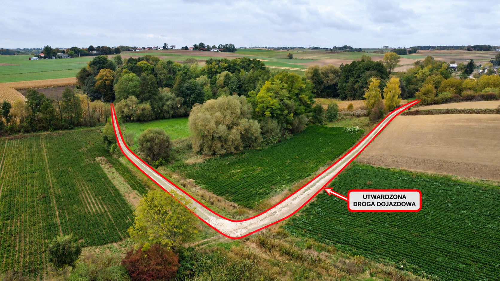 Dom, zabudowania gospodarcze, działka 1,67 ha, Sieradzice, powiat kazimierski, świętokrzyskie