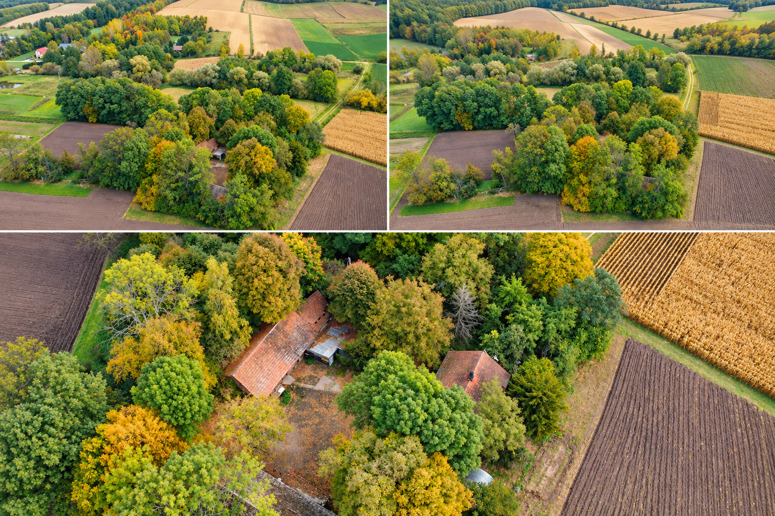 Dom, zabudowania gospodarcze, działka 1,67 ha, Sieradzice, powiat kazimierski, świętokrzyskie