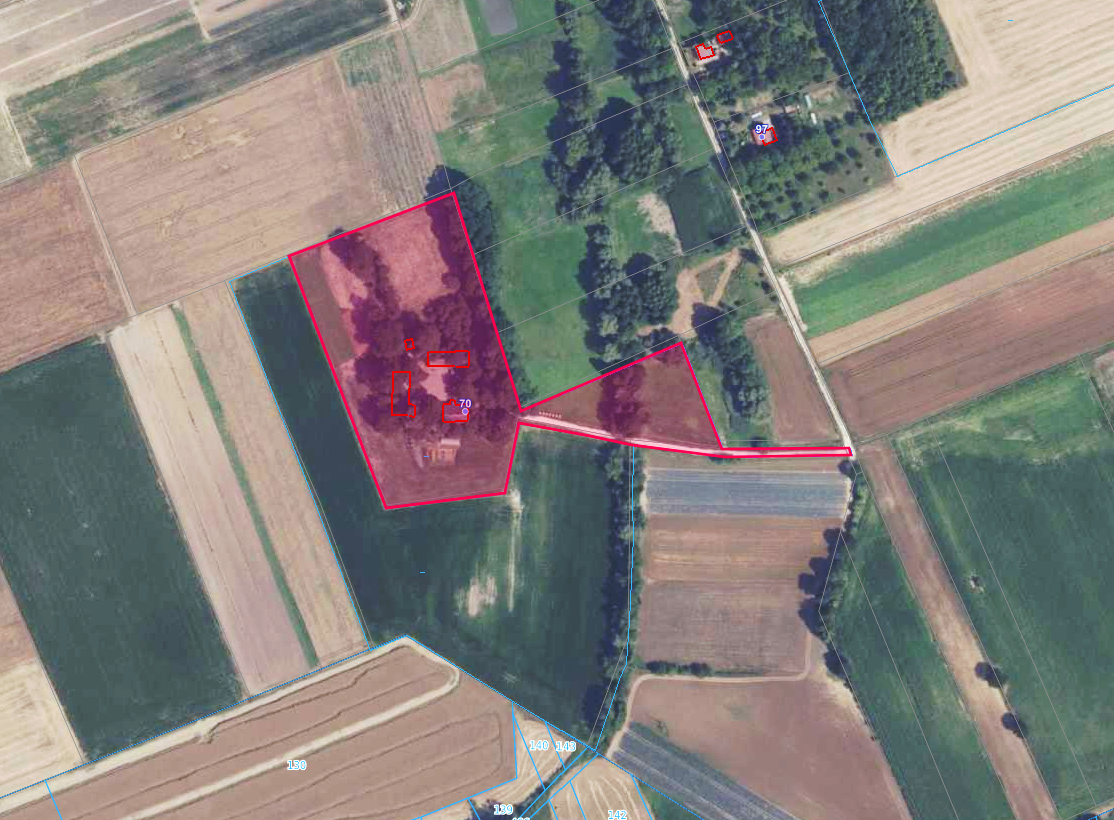 Dom, zabudowania gospodarcze, działka 1,67 ha, Sieradzice, powiat kazimierski, świętokrzyskie